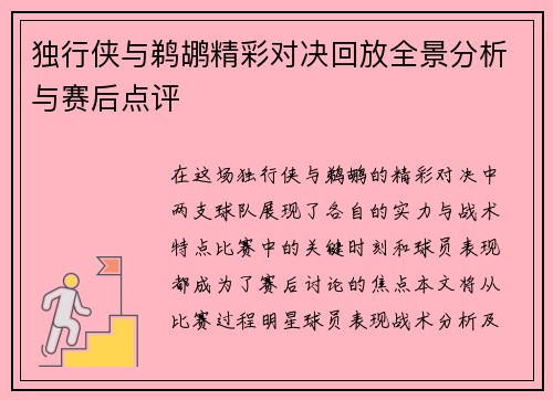 独行侠与鹈鹕精彩对决回放全景分析与赛后点评